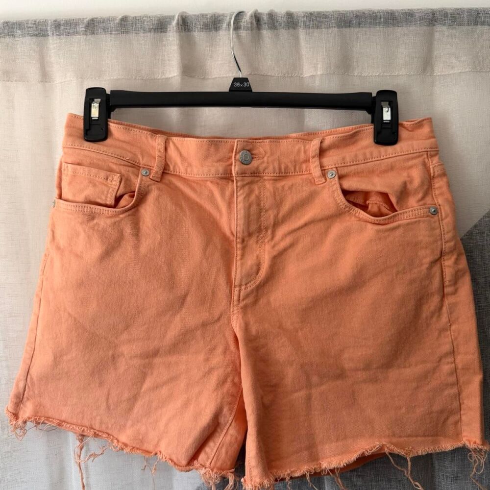 Loft Women's Orange Shorts